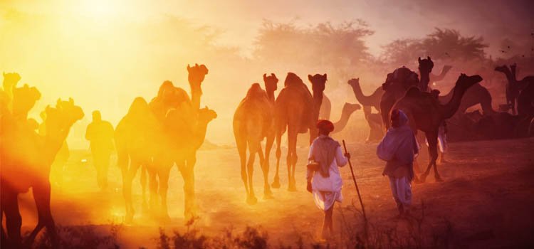 Golden Triangle With Pushkar Tour