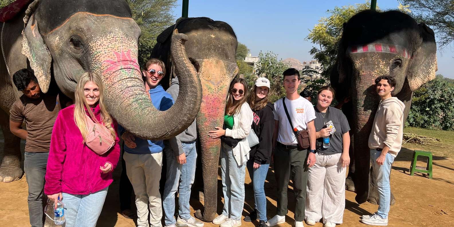 elephant-tour
