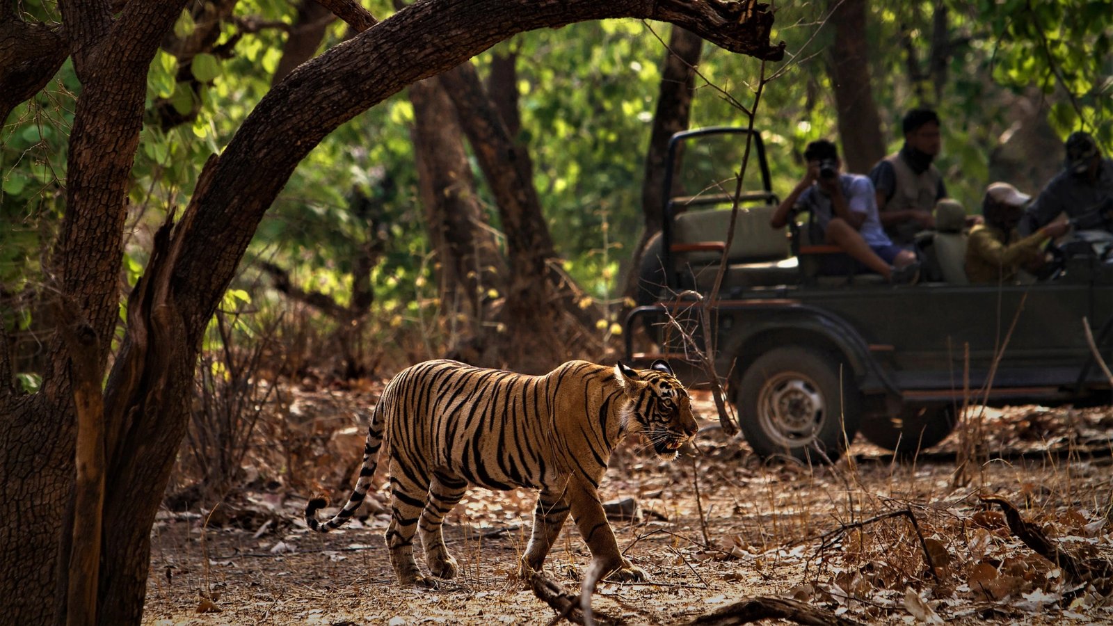Corbatte National Park